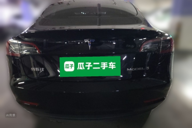 Tesla Model 3 2021 car image #6