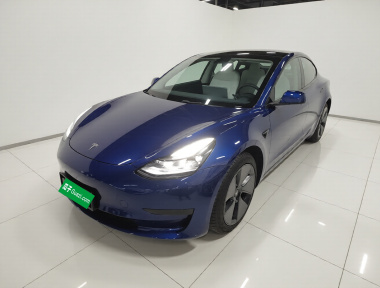 Tesla Model 3 2021 Tesla Model 3 2021 car image