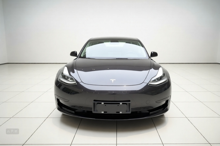 Tesla Model 3 2021 car image #3
