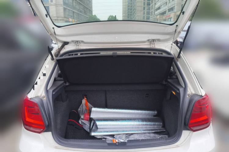 Volkswagen Polo 2016 car image #21