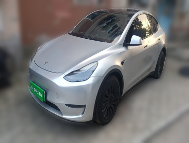 Tesla Model Y 2021 Tesla Model Y 2021 car image