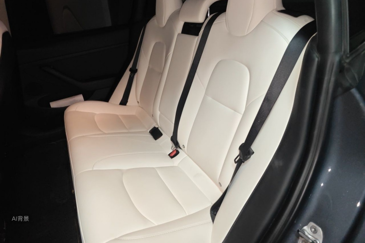 Tesla Model 3 2022 car image #19
