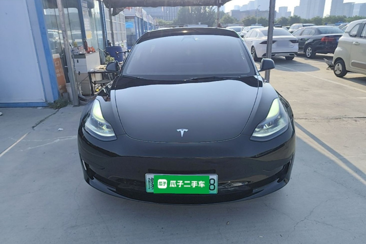 Tesla Model 3 2021 #3 Tesla Model 3 2021 immagine di auto #3