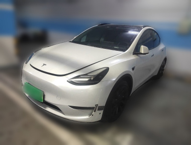 Tesla Model Y 2021 Tesla Model Y 2021 car image