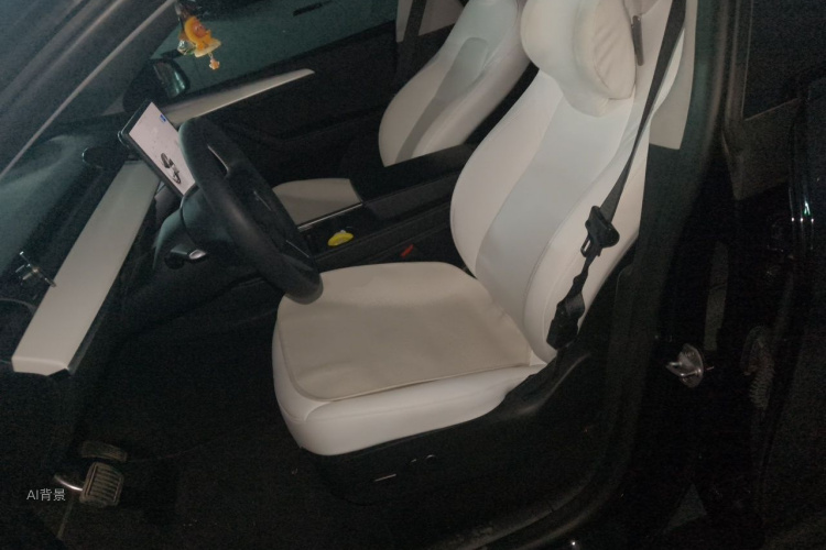 Tesla Model Y 2023 car image #17