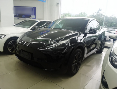 Tesla Model Y 2024 Tesla Model Y 2024 car image