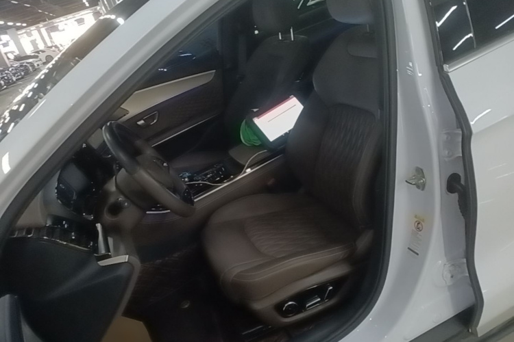 比亚迪 汉 2023 汽车图片 #19