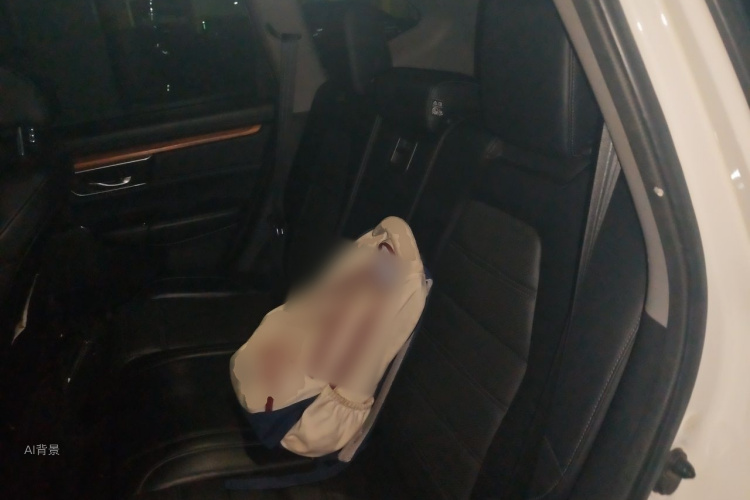 Honda CR-V 2017 car image #19