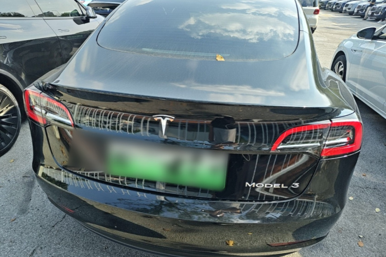 Tesla Model 3 2022 #6 Tesla Model 3 2022 car image #6