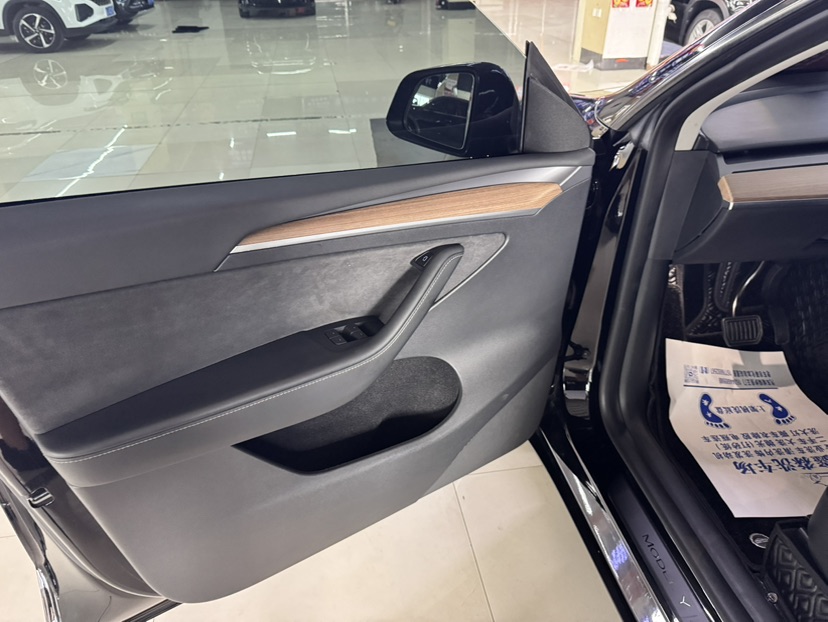 Tesla Model Y 2022 car image #10