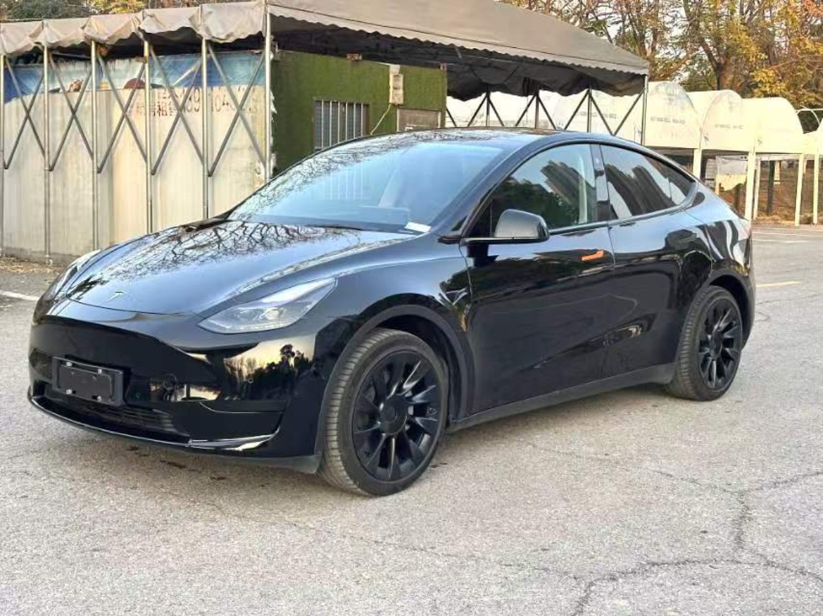 Tesla Model Y 2022 car image 