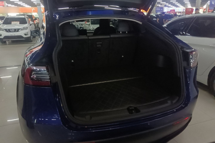 Tesla Model Y 2021 immagine di auto #19