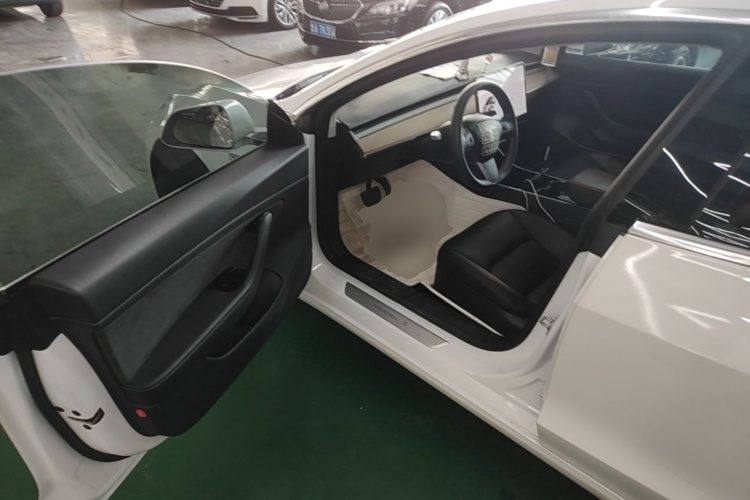 Tesla Model 3 2020 car image #12