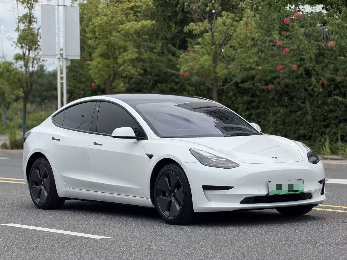 Tesla Model 3 2022 #3 Tesla Model 3 2022 car image #3