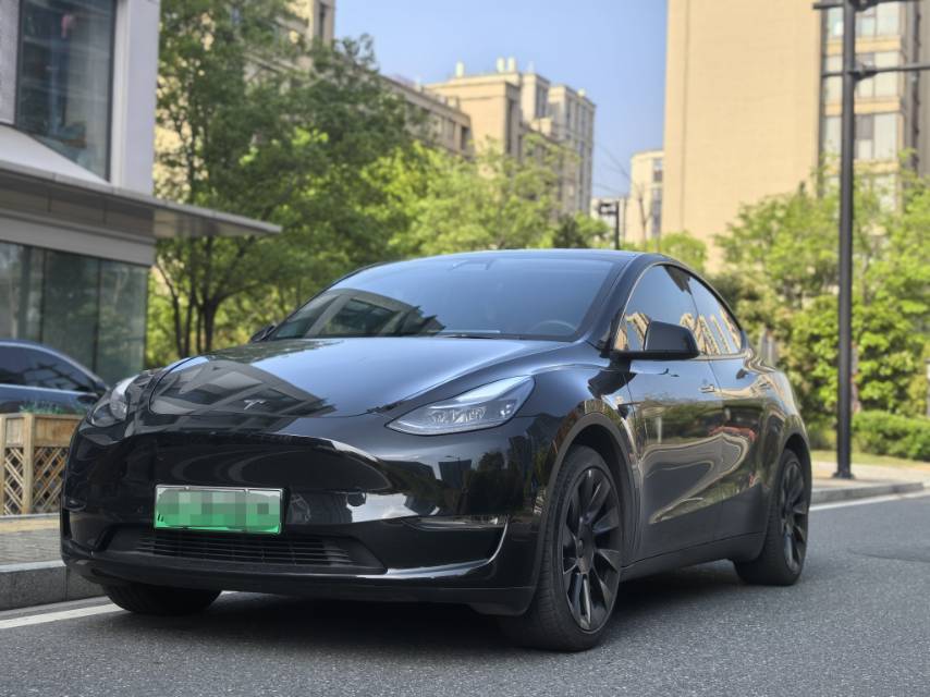 Tesla Model Y 2021 car image 