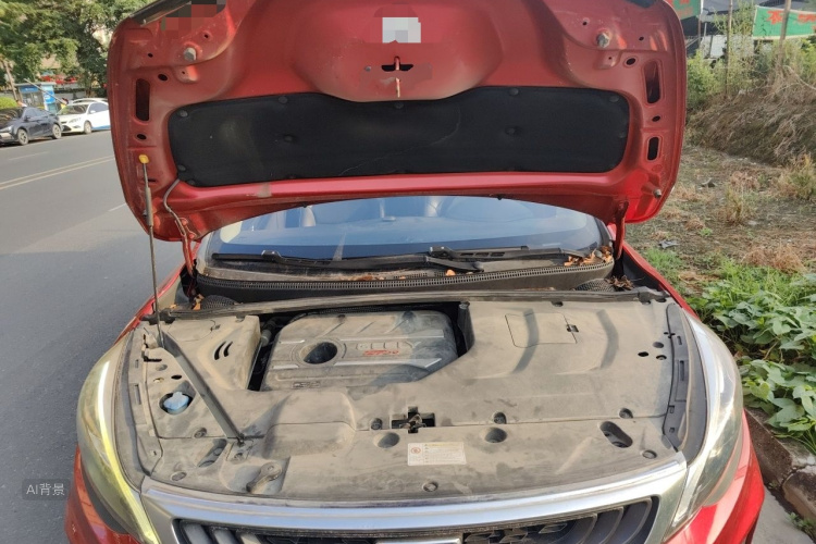 GEELY Emgrand GS 2019 car image #22
