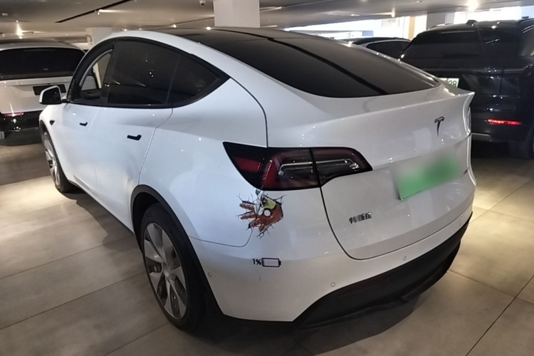 Tesla Model Y 2021 immagine di auto #5