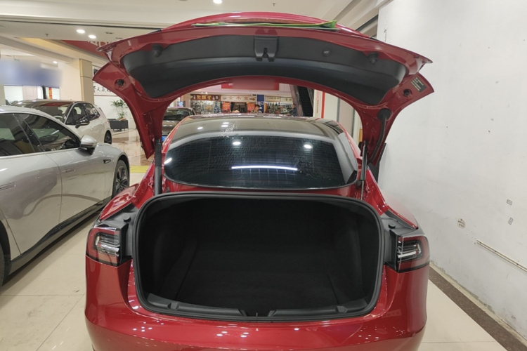 Tesla Model 3 2021 car image #19