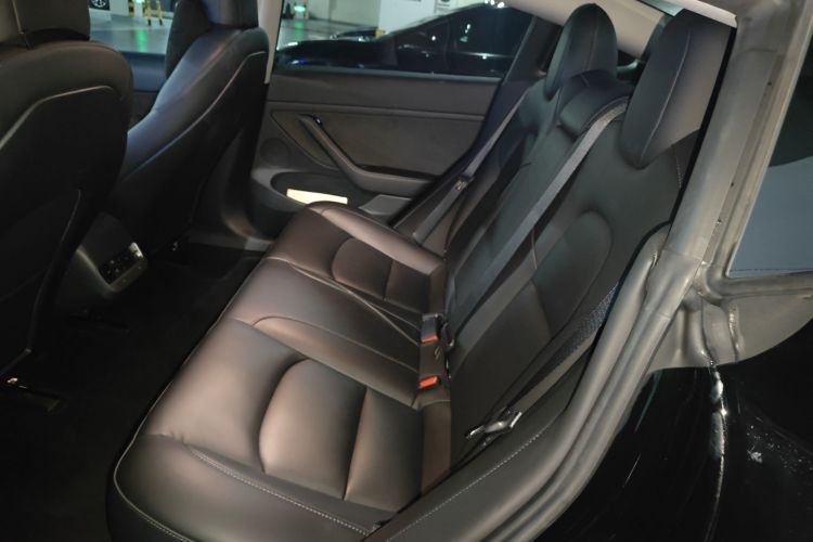 Tesla Model 3 2022 car image #13