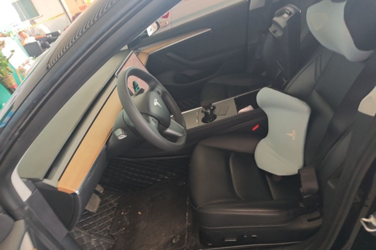 Tesla Model 3 2022 immagine di auto #15