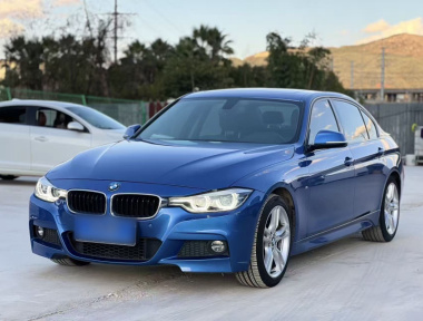 BMW 3 Series 2016 car image 
