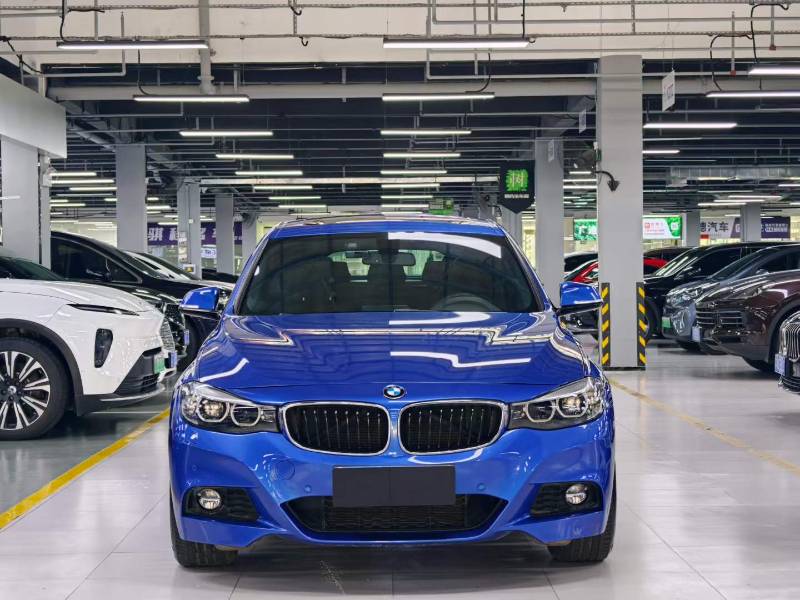 BMW 3 Series GT 2017 #8 BMW 3 Series GT 2017 car image #8