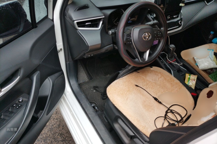 Toyota Corolla 2021 car image #18