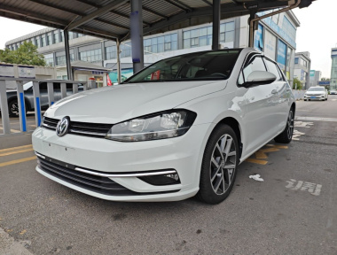Volkswagen Golf 2019 Volkswagen Golf 2019 car image