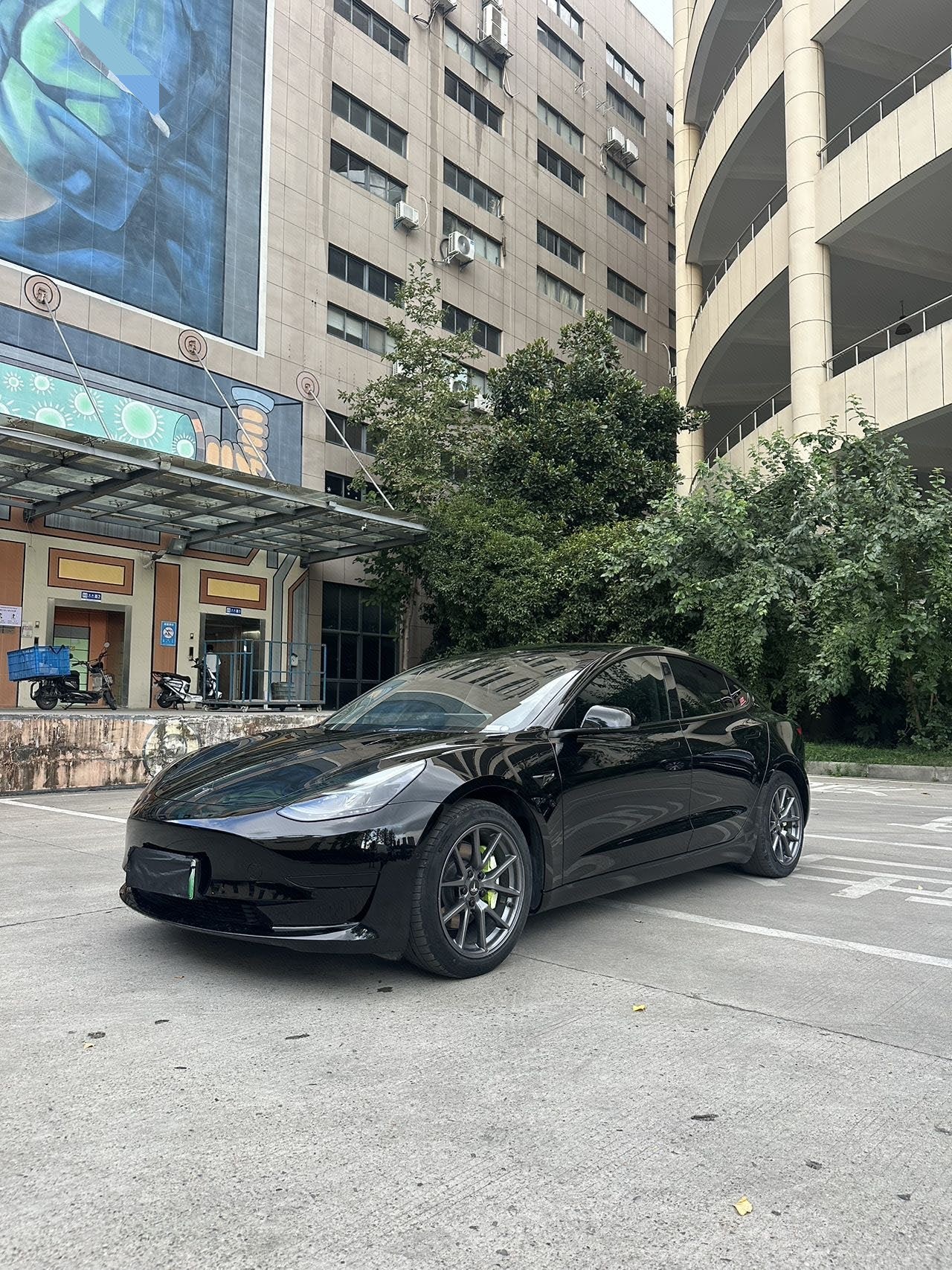 Tesla Model 3 2022 Tesla Model 3 2022 car image
