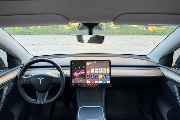 Tesla Model Y 2021 car image #11