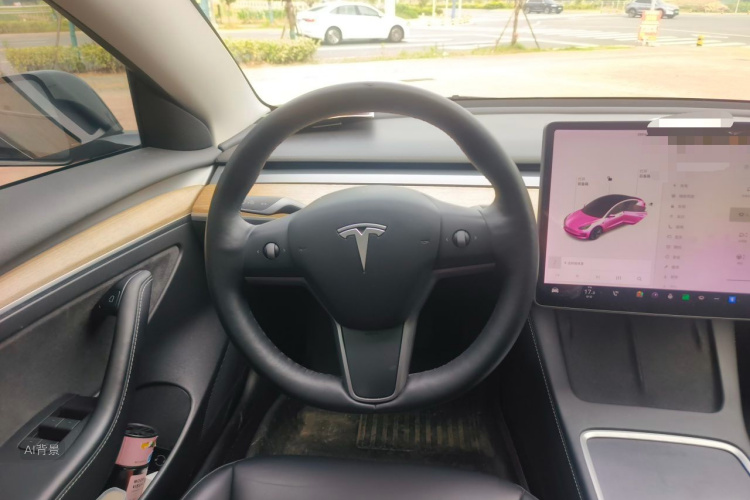 Tesla Model 3 2021 car image #12