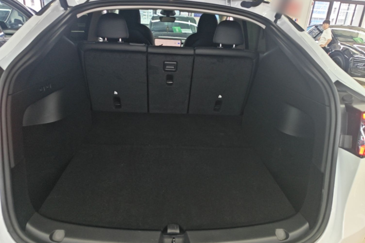 Tesla Model Y 2024 car image #19