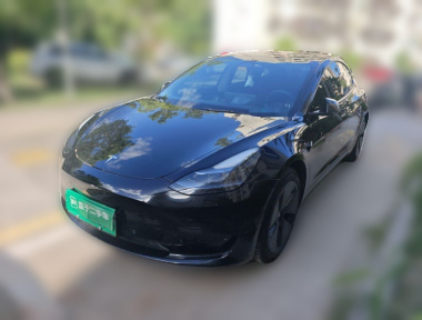 Tesla Model 3 2023 Tesla Model 3 2023 car image