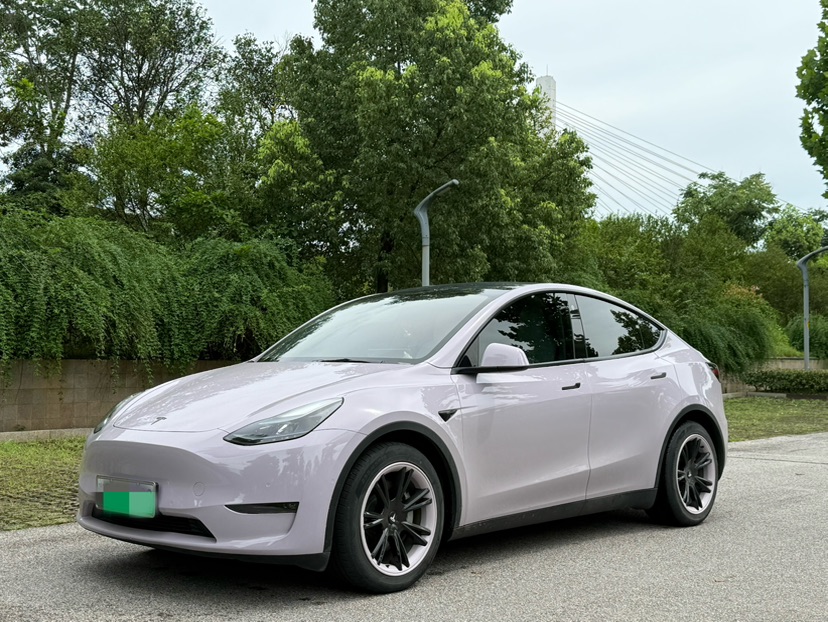 Tesla Model Y 2021 Tesla Model Y 2021 car image