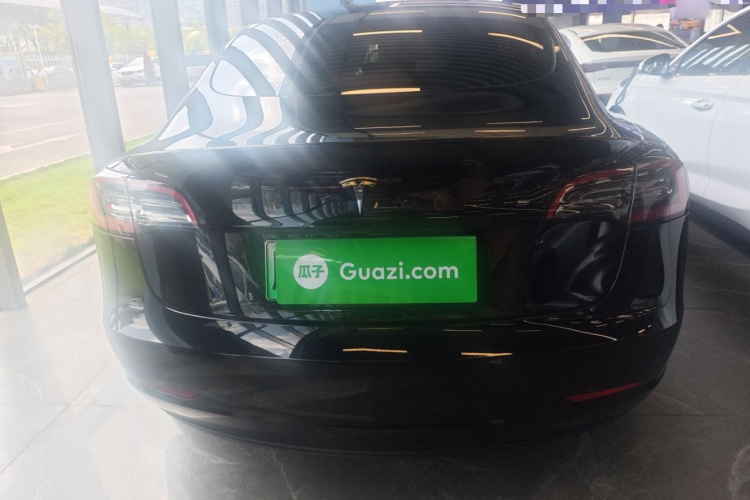 Tesla Model 3 2022 car image #6