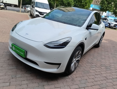 Tesla Model Y 2023 car image 