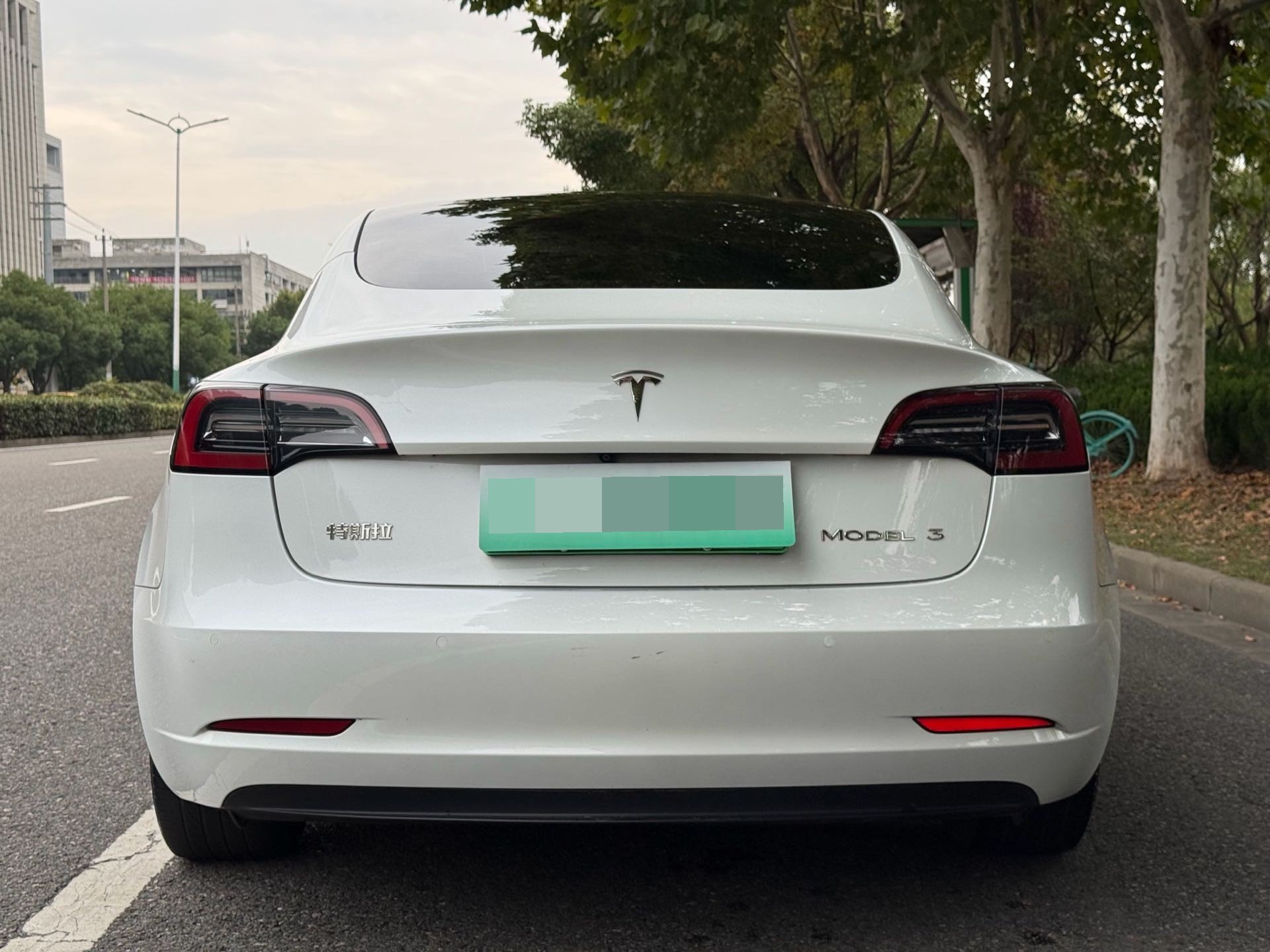 Tesla Model 3 2023 #4 Tesla Model 3 2023 car image #4
