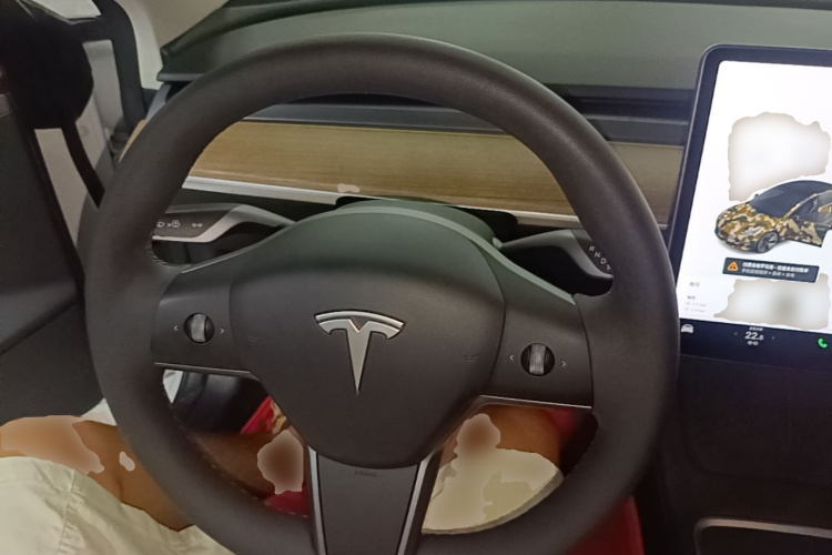 Tesla Model 3 2021 immagine di auto #11