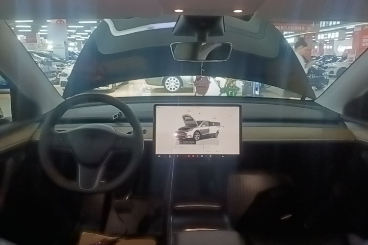 Tesla Model Y 2022 car image #10