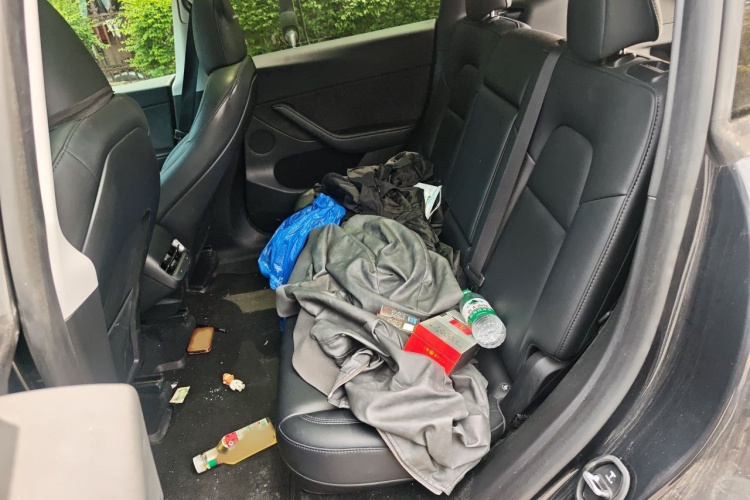 Tesla Model Y 2024 car image #14