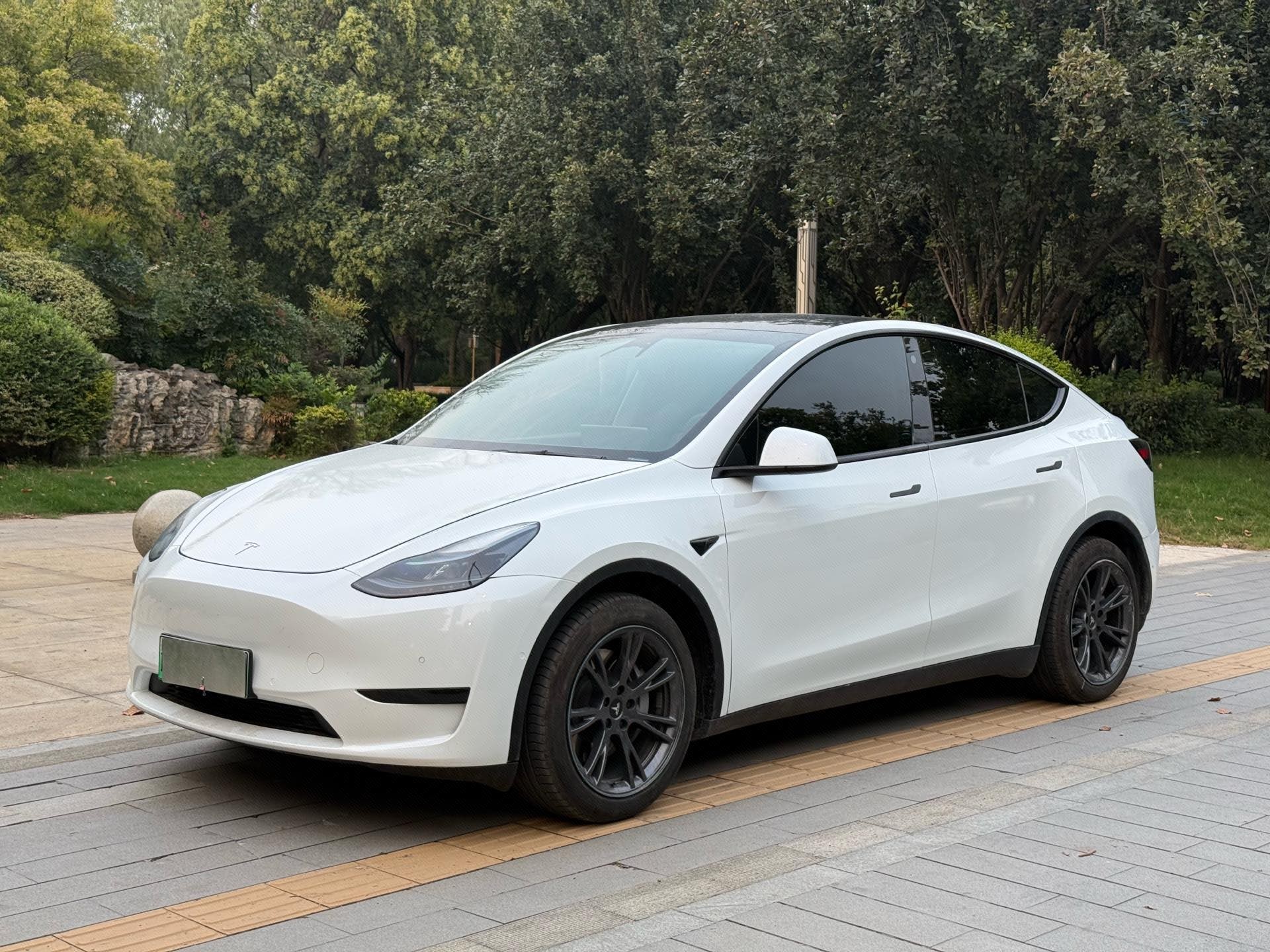 Tesla Model Y 2023 Tesla Model Y 2023 car image