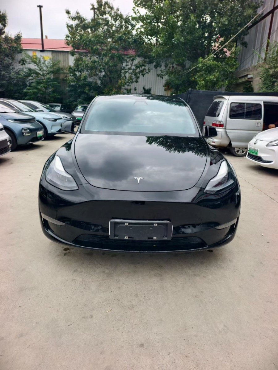 Tesla Model Y 2021 #2 Tesla Model Y 2021 car image #2