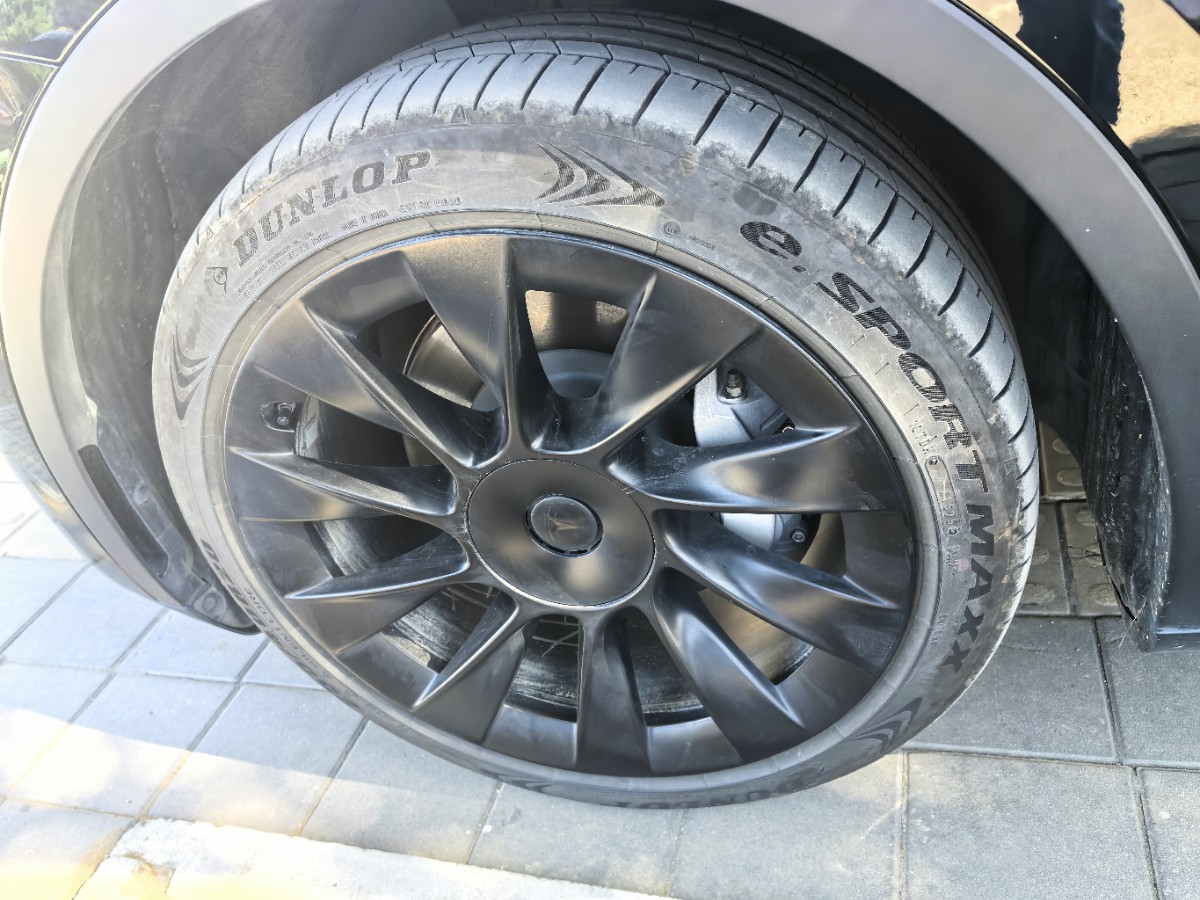 Tesla Model Y 2023 car image #8