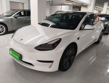Tesla Model 3 2021 immagine di auto 