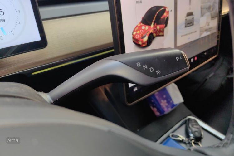 Tesla Model Y 2022 car image #16