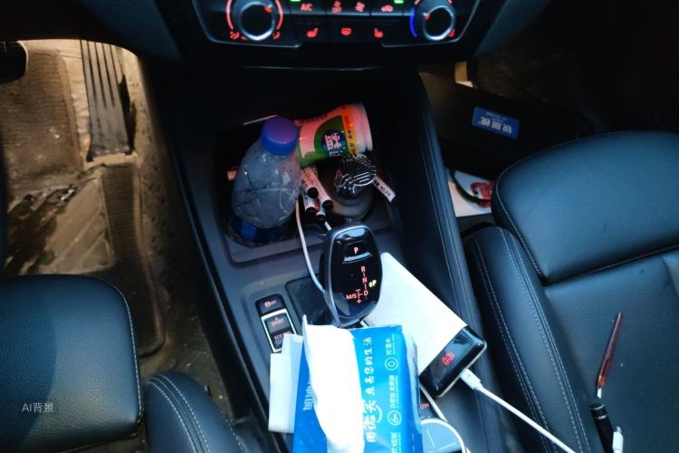BMW X1 2020 car image #16