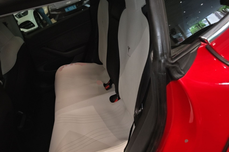 Tesla Model 3 2020 car image #17