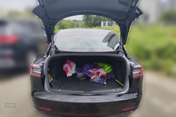 Tesla Model 3 2020 #21 Tesla Model 3 2020 immagine di auto #21