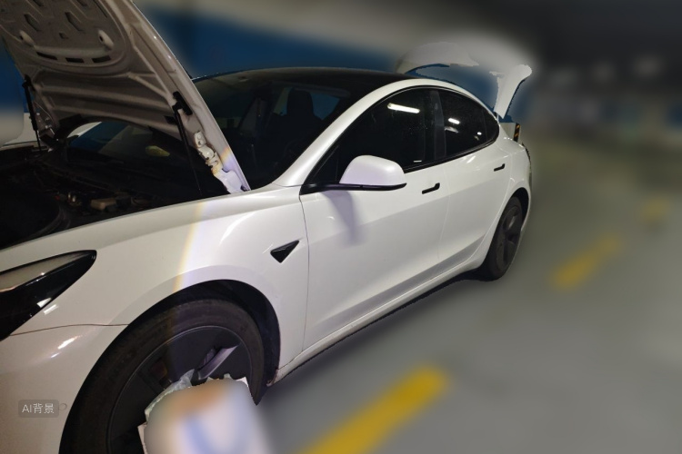 Tesla Model 3 2023 car image #2