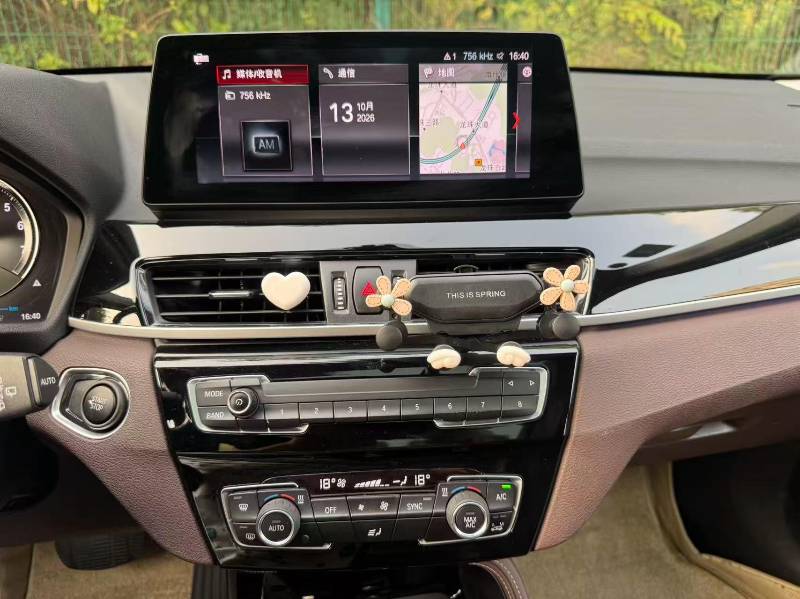 BMW X1 New Energy 2020 imagen de coche #8